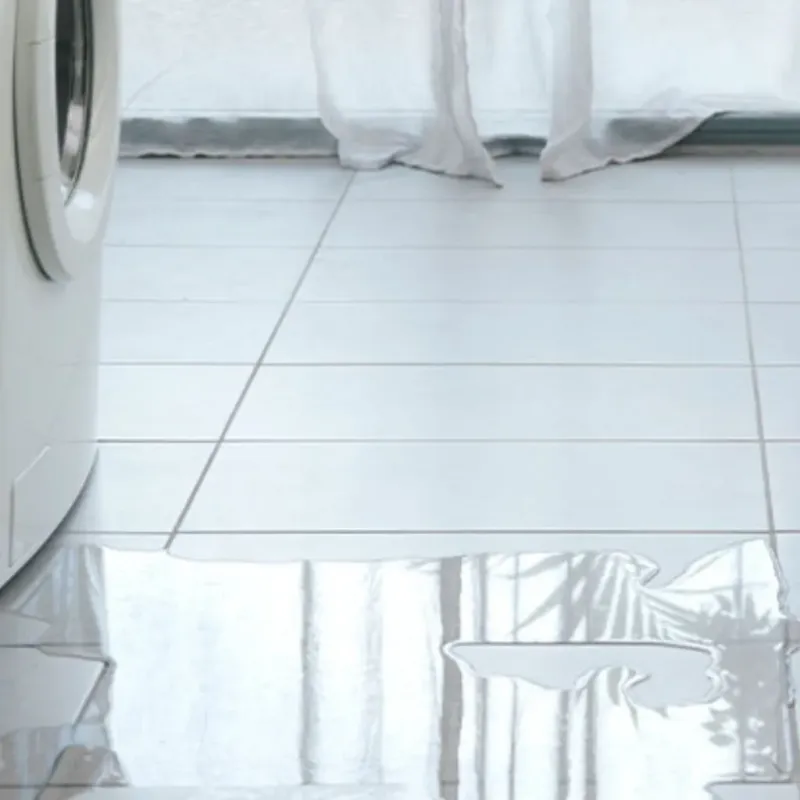 Appliance Leak Cleanup in Morris, MN