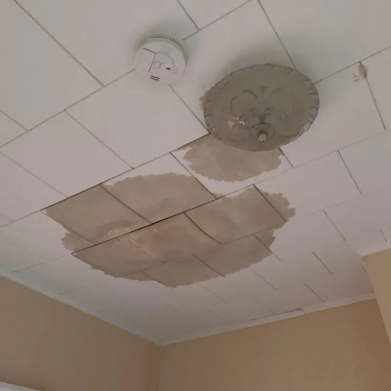 Ceiling Water Damage Repair in Morris, MN